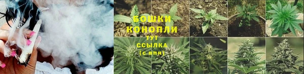 молекула духа Лиски