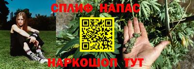 гашик Абакан