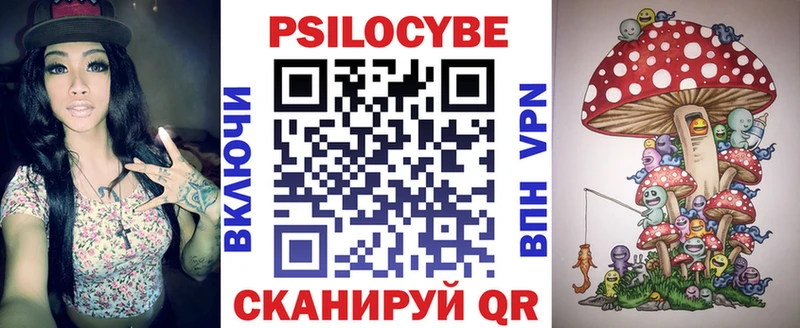 Псилоцибиновые грибы Psilocybe  Прохладный 