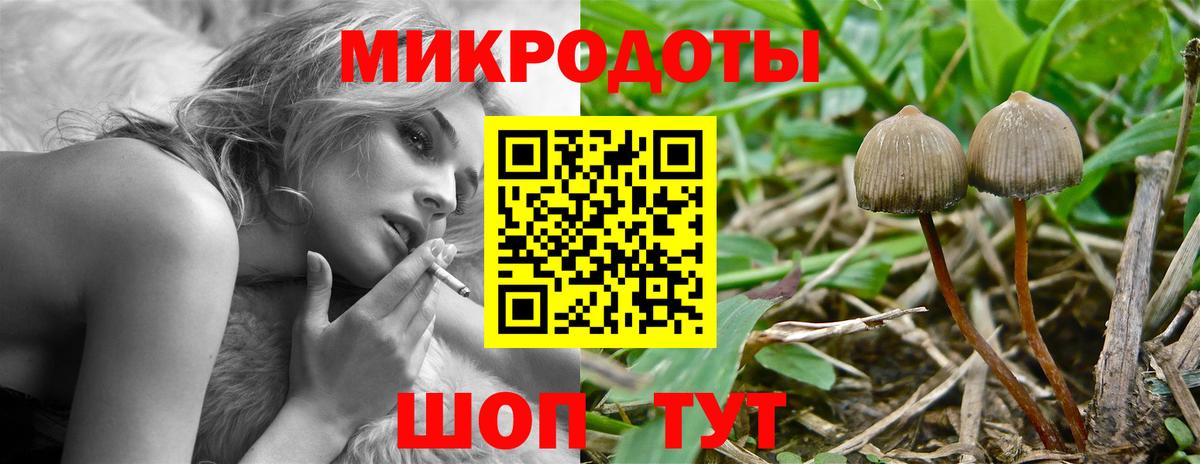 Галлюциногенные грибы MAGIC MUSHROOMS  Вход с VPN  Прохладный 