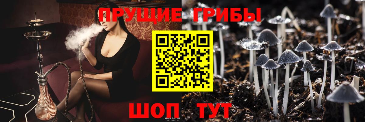 Псилоцибиновые грибы ЛСД Прохладный